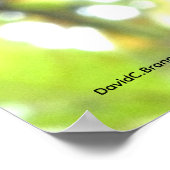 Wintering Berries Poster (Hoek)