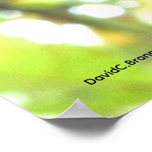 Wintering Berries Poster (Hoek)