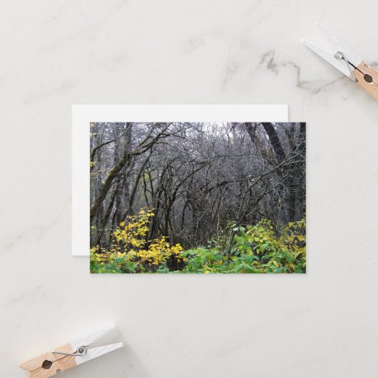 Winterkaarten voor bossen kaart (Voorkant / Achterkant in situ)