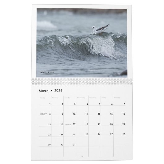 winterkalender kalender (Mar 2026)