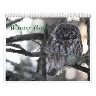 winterkalender kalender