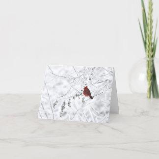 Winterkardinaal blanco notiecard bedankkaart
