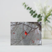 Winterkardinaal Briefkaart (Staand voorkant)