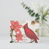  winterkardinaal briefkaart (Staand voorkant)