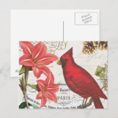  winterkardinaal briefkaart (Voorkant / Achterkant)