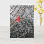 Winterkardinaal en sneeuwWenskaart Kaart (Gele Bloem)