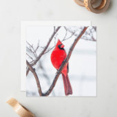 Winterkardinaal Flat Notecard Notitiekaartje (Voorkant / Achterkant in situ)