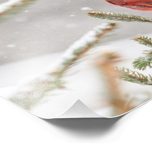 Winterkardinaal Foto Afdruk (Hoek)