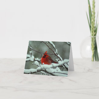 Winterkardinaal - Gepersonaliseerd Kaart