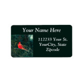 Winterkardinaal in Snowstorm - Verbeterd Etiket (Voorkant)