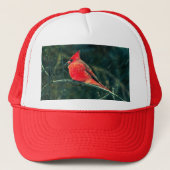 Winterkardinaal in Snowstorm - Verbeterd Trucker Pet (Voorkant)