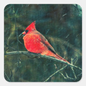 Winterkardinaal in Snowstorm - Verbeterd Vierkante Sticker (Voorkant)