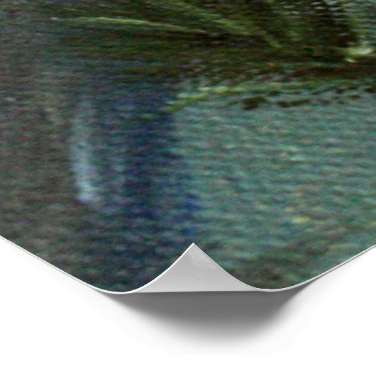 Winterkardinaal Poster (Hoek)