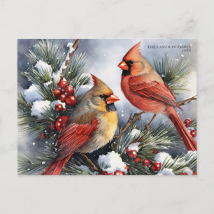  winterkardinaal Vogels Snowy Christmas Feestdagenkaart
