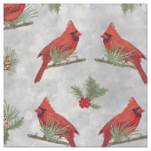 Winterkardinalen en -pennen stof (Close Up)