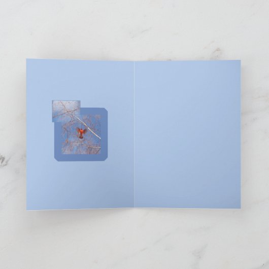 Winterkardinalen Kaart (Binnen)