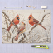 Winterkardinalen Tissuepapier (Craft)