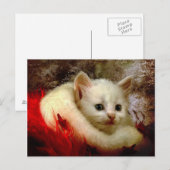WinterKat Briefkaart (Voorkant / Achterkant)