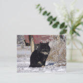 WinterKat Briefkaart (Staand voorkant)