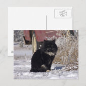 WinterKat Briefkaart (Voorkant / Achterkant)