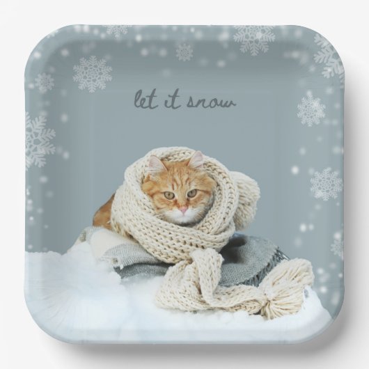 Winterkat Laat het Sneeuwen Vierkante Papieren Bor Papieren Bordje (Voorkant)