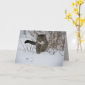 winterkat wenskaart kaart (Gele Bloem)