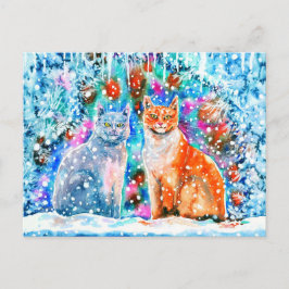 Winterkatten Briefkaart