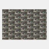 winterkatten inpakpapier set (Voorkant)