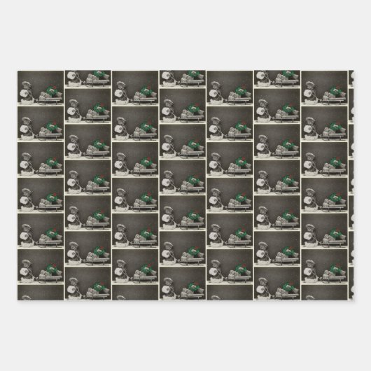  winterkatten inpakpapier set (Voorkant)