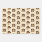 winterkatten inpakpapier set vel (Voorkant 3)