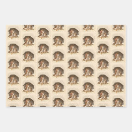  winterkatten inpakpapier set vel