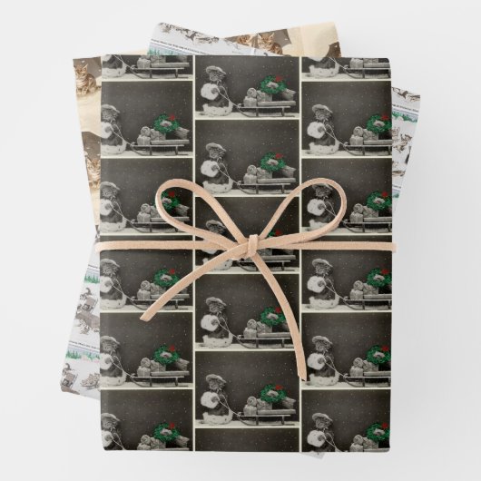 winterkatten inpakpapier set vel (In situ)