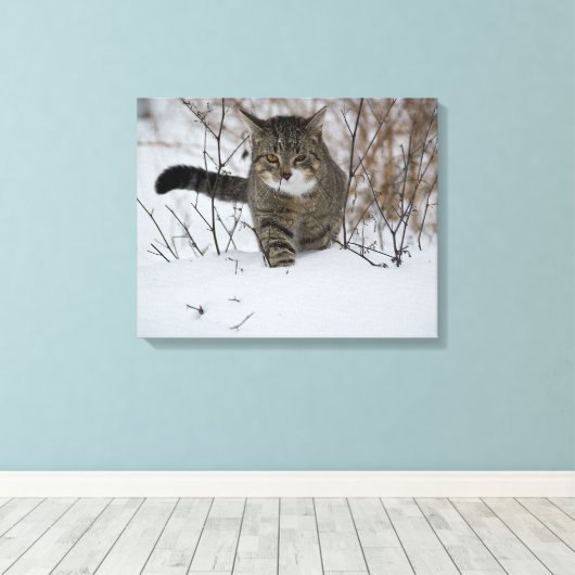 winterkattencanvas canvas afdruk (Insitu (Houten vloer))