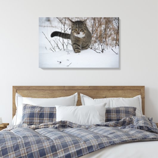 winterkattencanvas canvas afdruk (Insitu (Slaapkamer))