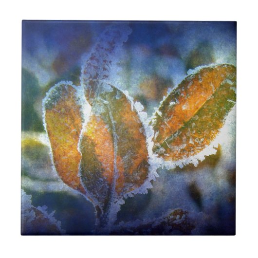 Winterkil Tegeltje (Voorkant)