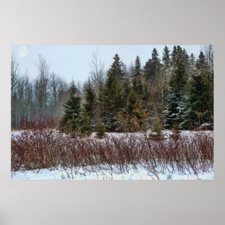 Winterkleuren Poster