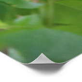 Winterkoning in prieel poster (Hoek)