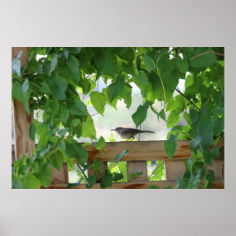 Winterkoning in prieel poster