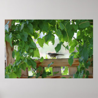 Winterkoning in prieel poster