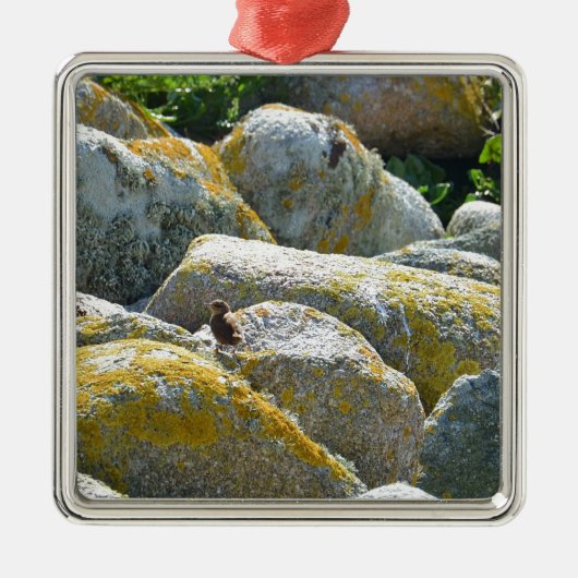 Winterkoning Metalen Ornament (Voorkant)