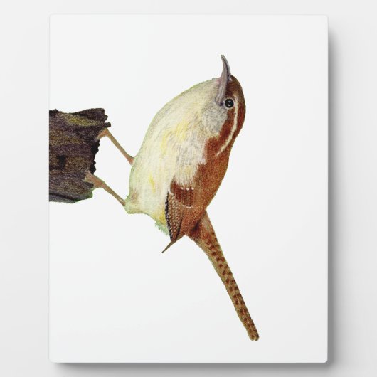 Winterkoninkje Fotoplaat (Voorkant)