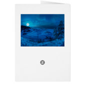 Winterkust van het zee in maanlicht (Achterkant)