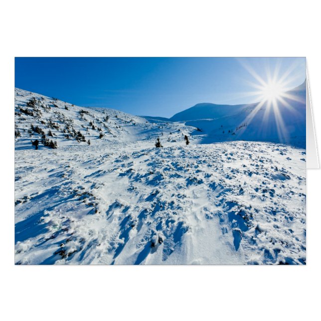 Winterland (Voorkant Horizontaal)