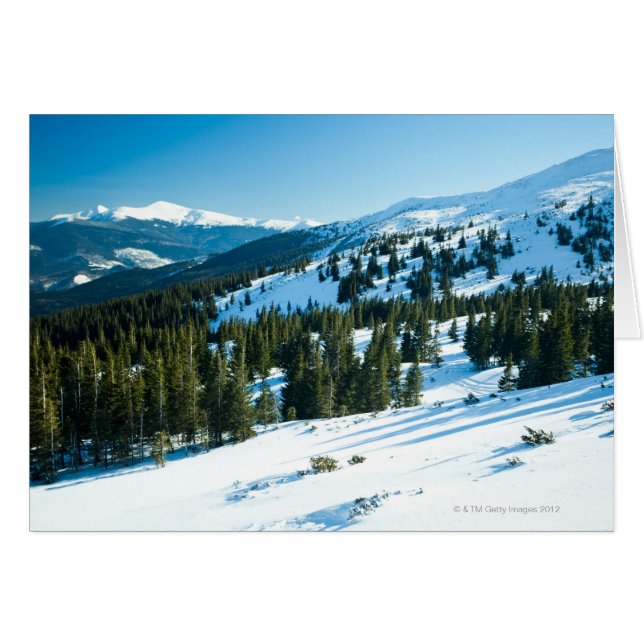Winterland 3 (Voorkant Horizontaal)