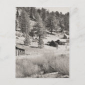 Winterland Briefkaart (Voorkant)