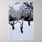 Winterland by Johannes Stötter Poster (Voorkant)