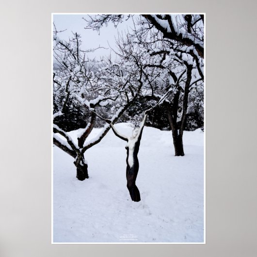 Winterland by Johannes Stötter Poster (Voorkant)