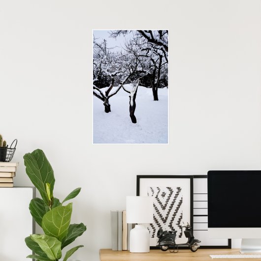 Winterland by Johannes Stötter Poster (Thuiskantoor)