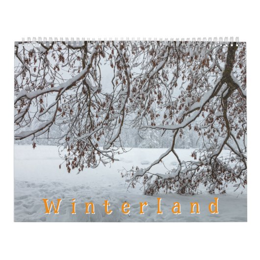 Winterland Kalender (Hoes)