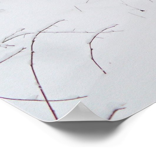 winterland poster (Hoek)